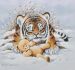 Tiger Cub & Teddy 1